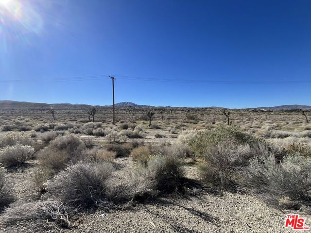 6298 Pearblossom Highway, Palmdale CA: https://media.crmls.org/mediaz/5b84acda-9f1b-4cbe-bf22-026111cc7459.jpg