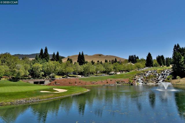 715 Blue Spruce Dr, Danville CA: https://media.crmls.org/mediaz/5b867aad-ac79-494d-865f-d3e9b3f4ae57.jpg