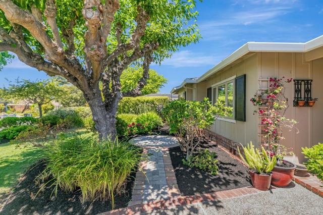 1869 Walnut Drive, Mountain View CA: https://media.crmls.org/mediaz/5b868046-fdaf-4d09-adc1-18899215e828.jpg