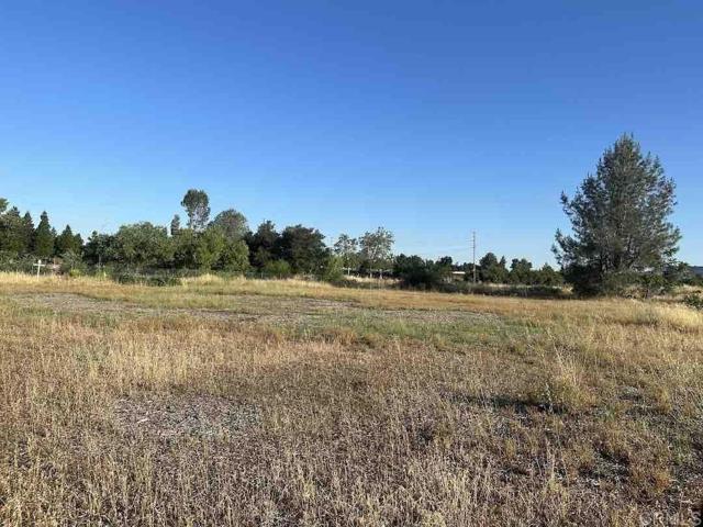 1830 Feather River Blvd, Oroville, California 95965, ,Land,For Sale,1830 Feather River Blvd,CRNDP2305926