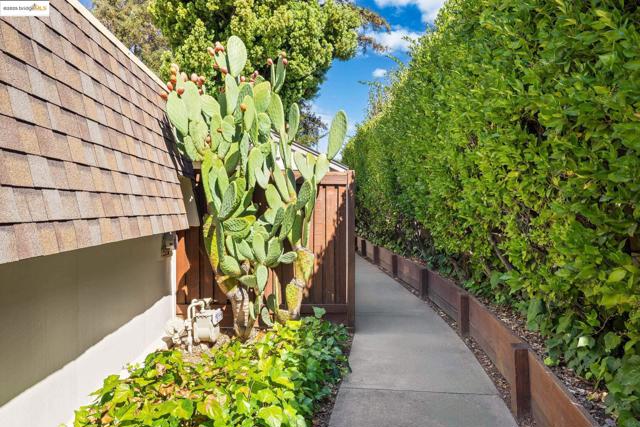 1515 Schenone Ct, Concord CA: https://media.crmls.org/mediaz/5b9f7181-052c-4813-89c7-ea71459e09c3.jpg