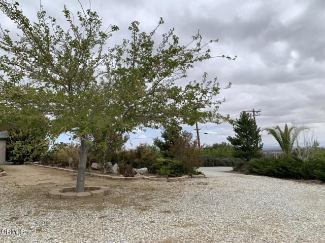9020 Pionero Road, Pinon Hills CA: https://media.crmls.org/mediaz/5ba3ff58-b3ed-45b3-9b53-d66728ee27f7.jpg