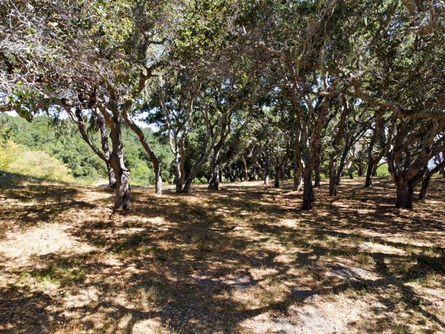 4 Holding Field Run, Carmel CA: https://media.crmls.org/mediaz/5ba4081f-e539-4798-bca8-9a9d672ab9f2.jpg