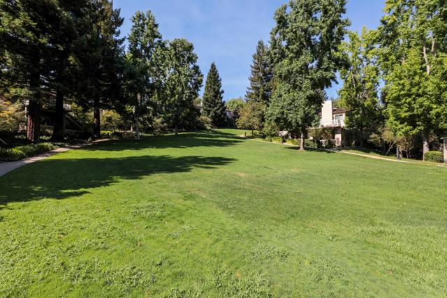 699 Manresa Lane, Los Altos CA: https://media.crmls.org/mediaz/5bd1656e-33be-4af6-a72b-5b121d8b418a.jpg