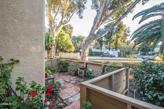 View from Primary Bedroom Patio