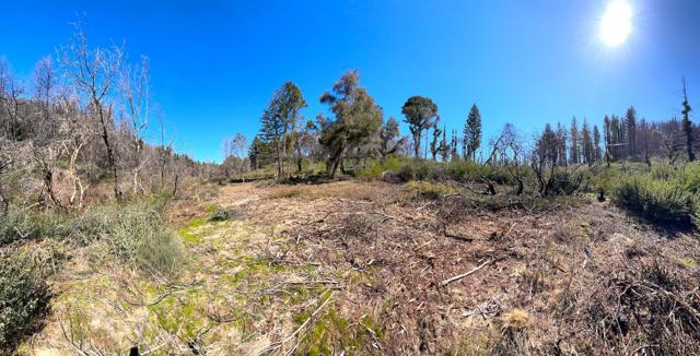 11035 Empire Grade, Santa Cruz CA: https://media.crmls.org/mediaz/5be48b0b-f236-4c4b-a3eb-bfc2940b6f74.jpg