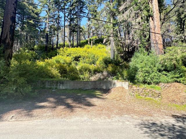 575 Hazel Brake, Boulder Creek CA: https://media.crmls.org/mediaz/5be7d4cf-e02d-4a83-8e9f-ccdc8c207677.jpg
