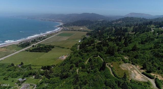 Now accepting Bitcoin and or cryptocurrency! DEVELOPMENT OPPORTUNITY - Previously offered for $50 million, Pelican Vista in Del Norte County offers 40 acres zoned RR2 for building a five-star resort, gated community, PGA golf course, therapeutic retreat, or assisted living center. 158 of the 198 acres are zoned for timber harvesting, with an extensive logging road network and Redwood and Douglas fir trees scattered throughout the entire parcel. With 79% of the land in this area under protection, the property remains some of the last developable land in the region.Now accepting Bitcoin and or cryptocurrency! DEVELOPMENT OPPORTUNITY - Previously offered for $50 million, Pelican Vista in Del Norte County offers 40 acres zoned RR2 for building a five-star resort, gated community, PGA golf course, therapeutic retreat, or assisted living center. 158 of the 198 acres are zoned for timber harvesting, with an extensive logging road network and Redwood and Douglas fir trees scattered throughout the entire parcel. With 79% of the land in this area under protection, the property remains some of the last developable land in the region.