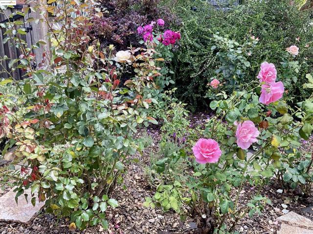 4091 Garden Rd, El Sobrante CA: https://media.crmls.org/mediaz/5bef8dc3-0376-40f8-b2ae-66b7d928c29e.jpg