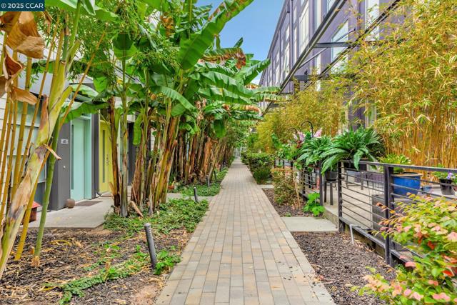 1231 Pine St, Oakland CA: https://media.crmls.org/mediaz/5beffabf-1620-4c99-8dea-31f559d9f7b8.jpg