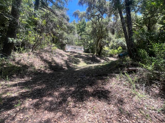 0 Deer Creek (Lot 21), Boulder Creek CA: https://media.crmls.org/mediaz/5bfe53fe-aea0-452c-8813-8c60b5e748e8.jpg