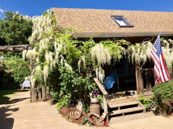 4101 San Juan Canyon Road, San Juan Bautista CA: https://media.crmls.org/mediaz/5c0495e5-a058-4e14-84e8-f5d84b2b2220.jpg