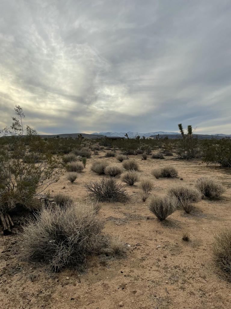 MLS #219145913DA image #22