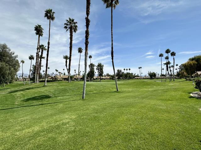 138 Gran, Palm Desert CA: https://media.crmls.org/mediaz/5c0ea897-8ea4-4290-be04-31885bcc8a4a.jpg
