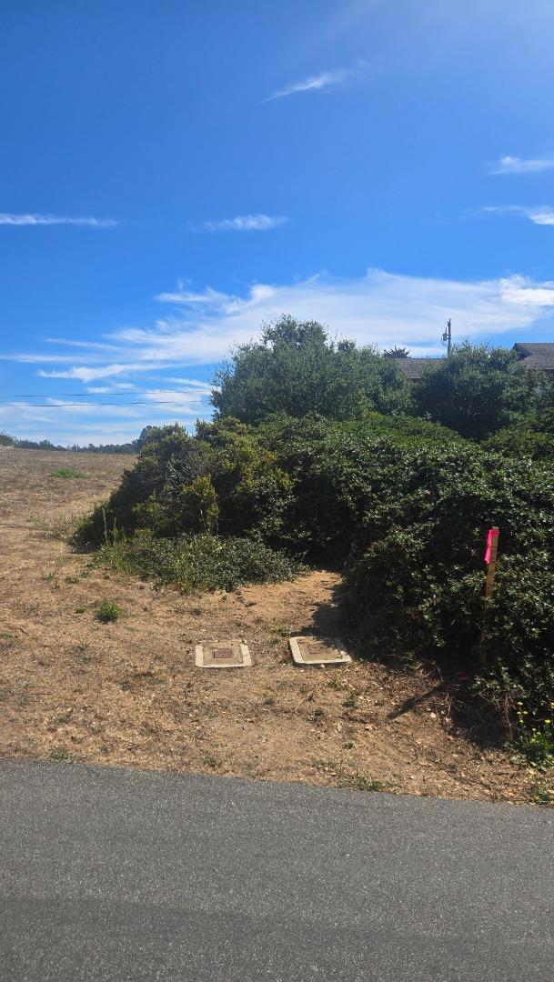 145 Lindero, La Selva Beach CA: https://media.crmls.org/mediaz/5c13ede4-8aaf-45c3-b3ff-411cd3e7b81d.jpg