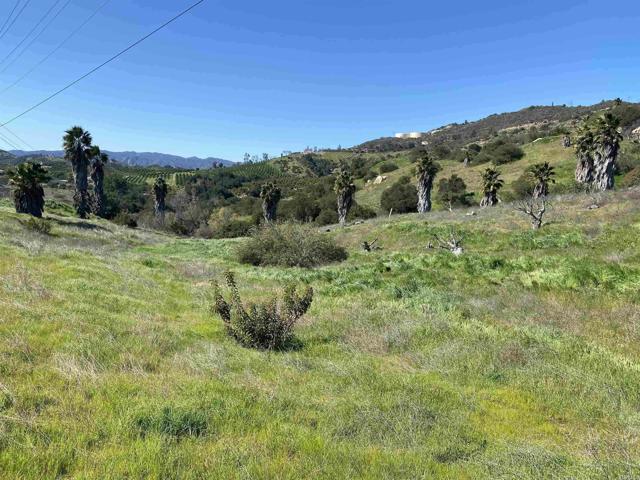 Front Image Thumbnail for CRPTP2500483