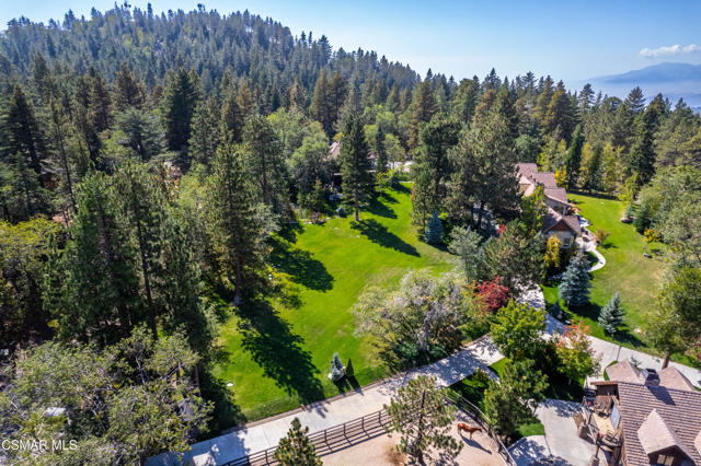 32310 Hummingbird Court, Running Springs CA: https://media.crmls.org/mediaz/5c24328e-28bd-4dff-8ac6-d68023d0999b.jpg