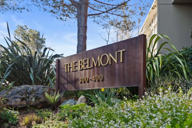 300 Davey Glen Road, Belmont CA: https://media.crmls.org/mediaz/5c2a12d4-fbbe-4a14-8a8b-5714270aacda.jpg