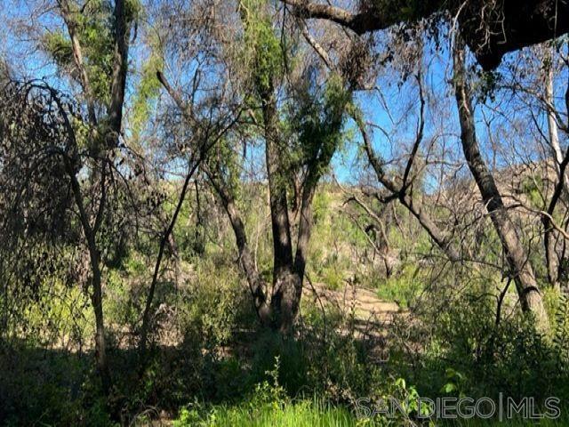 0 Bunny Dr.,  CA: https://media.crmls.org/mediaz/5c2a8552-fa49-4e23-a241-99e26de76ad5.jpg