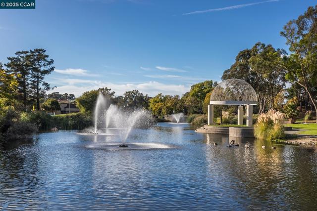 1769 Redwood Rd, Hercules CA: https://media.crmls.org/mediaz/5c2b9a39-2f63-4b90-b46b-86f8950d8a83.jpg