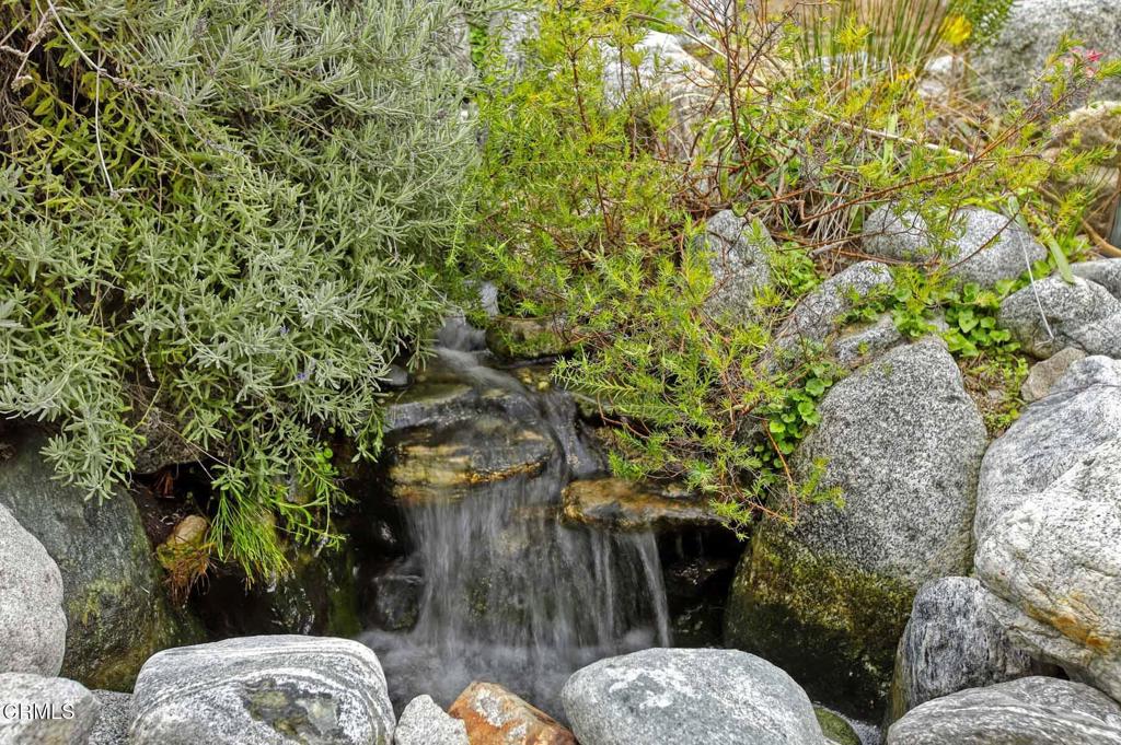 MLS #P1-21999 img 31