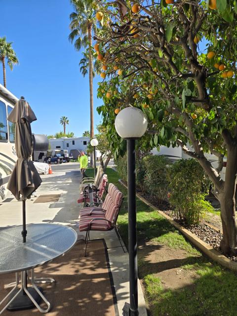 69411 Ramon Road, Cathedral City CA: https://media.crmls.org/mediaz/5c48245d-3a97-4767-b8c2-ef58e03de377.jpg