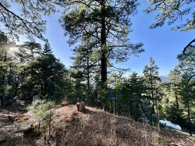 0 Green Craig, Idyllwild CA: https://media.crmls.org/mediaz/5c49f6c4-c24b-47b3-ba1e-a438f2e08049.jpg