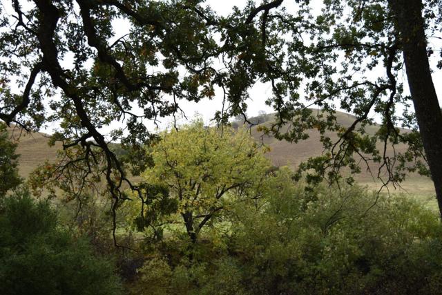 Image 7 of 23 For 1700 Finley Road