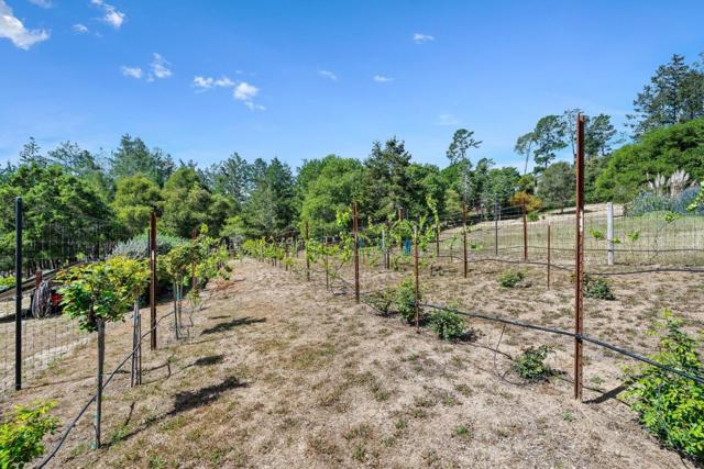 321 Pine Forest Drive, Aptos CA: https://media.crmls.org/mediaz/5c5268d9-51ca-47e4-87c7-70404810ccd6.jpg