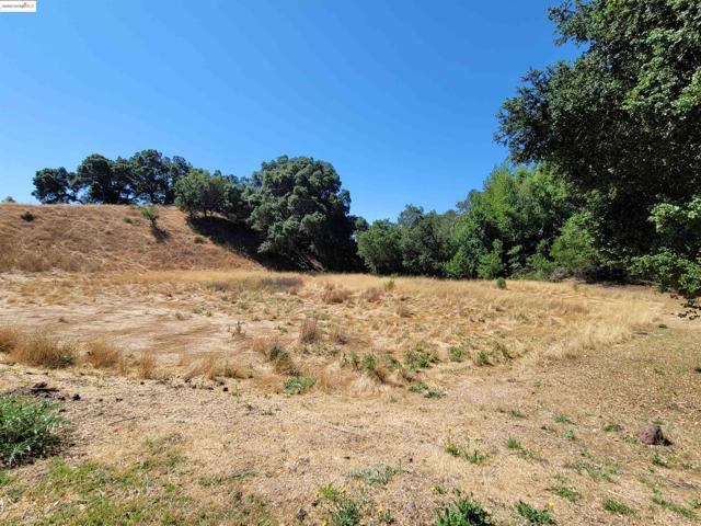 40 Hilldale Ct, Orinda CA: https://media.crmls.org/mediaz/5c567ff6-eb2e-4801-9f72-12fee6884aa5.jpg