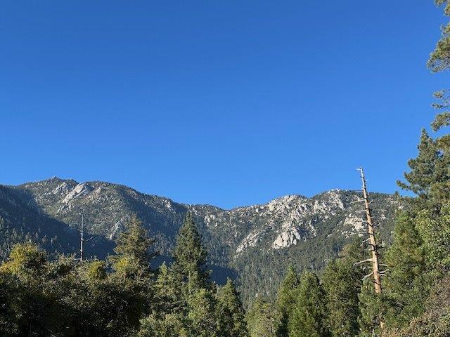 0 Howland Road, Idyllwild CA: https://media.crmls.org/mediaz/5c613944-bc22-4fc0-9f94-aea2d12276de.jpg