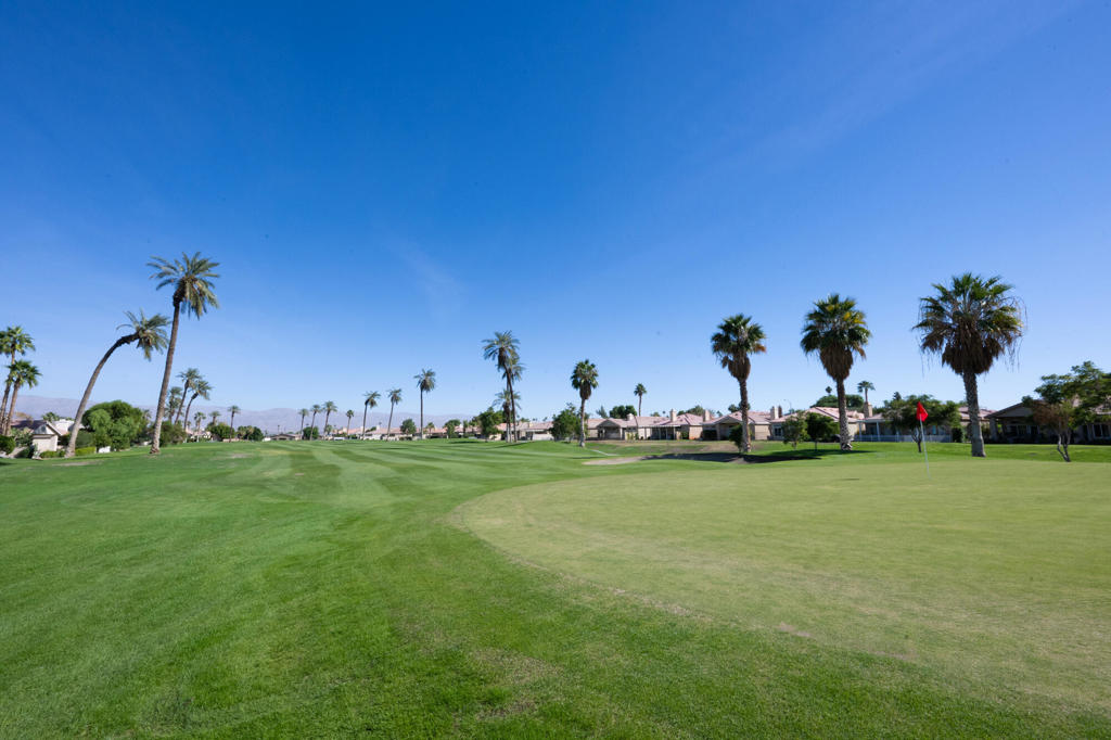 MLS #219138325DA image #5