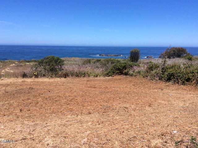 36880 Highway 1, Westport, California 95488, ,Land,For Sale,36880 Highway 1,CRC1-10297