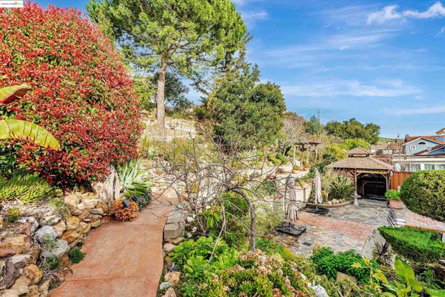 790 Britannia Dr., Vallejo CA: https://media.crmls.org/mediaz/5c7edcce-3b4c-4c1b-b984-d70e83b6272a.jpg