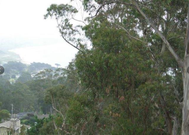 MLS #ML82026086 image #8