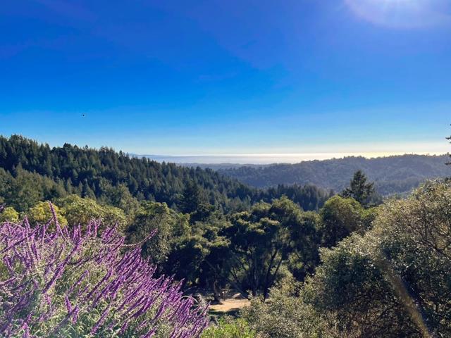 1584 Tindall Ranch Road, Corralitos CA: https://media.crmls.org/mediaz/5c89d1f7-fff3-49aa-9dd3-bcdf7d05f9f7.jpg