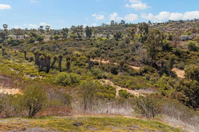 2119 SAND CREST Way, San Marcos CA: https://media.crmls.org/mediaz/5c8b90bb-0673-4652-aa6f-29d3a4026a51.jpg