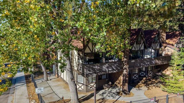 41896 Switzerland Drive #1, Big Bear, CA 92315