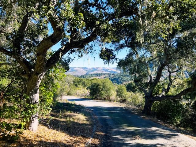 7 Holding Field Run, Carmel Valley CA: https://media.crmls.org/mediaz/5c8e9241-9df2-45f3-a47f-70690cd4f0db.jpg