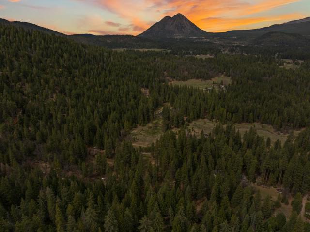 2120 Pack Trail, Mount Shasta CA: https://media.crmls.org/mediaz/5c90e50b-95dc-4051-9029-6bf896cac180.jpg
