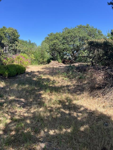 17160 Wilson Way, Royal Oaks CA: https://media.crmls.org/mediaz/5c937953-0f48-4650-a27e-a122f123c2b6.jpg