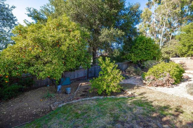 10506 Moon View Way, Escondido CA: https://media.crmls.org/mediaz/5c95afbb-5d3b-4ae8-aca6-408bc78fadbb.jpg