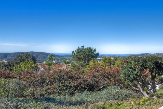 Detail Gallery Image 21 of 36 For 2183 Crest View Glen, Escondido,  CA 92026 - 3 Beds | 2/1 Baths