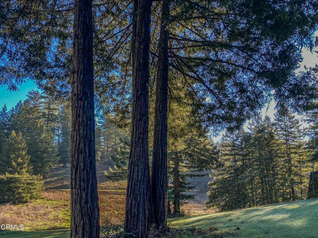 https://media.crmls.org/mediaz/5ca23414-fdd2-45d7-b503-49184c509836.jpg?preset=X-Large