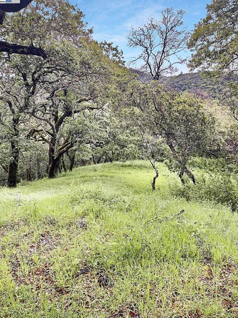 0 #197-100-12 & #197-100-01, Fairfax CA: https://media.crmls.org/mediaz/5ca707b4-705c-48db-a65e-024baecf185e.jpg