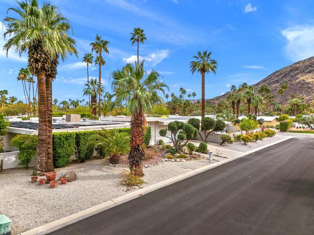 968 N Fairview Circle, Palm Springs CA: https://media.crmls.org/mediaz/5cab68ea-34dc-465b-b516-1891f17e2209.jpg