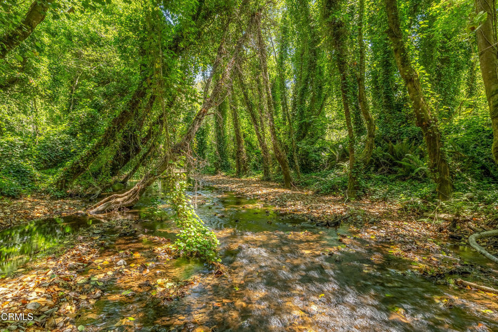 https://media.crmls.org/mediaz/5cb1abad-dced-4ea9-bb0e-8342c28cf13e.jpg?preset=X-Large