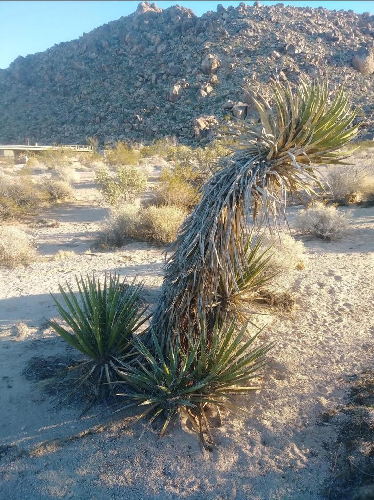 MLS #219137042PS image #20