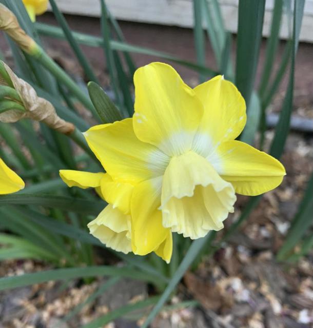 1152 Curtner Avenue, San Jose CA: https://media.crmls.org/mediaz/5cbbd6c0-42c2-48e0-a15e-c195fff56f94.jpg