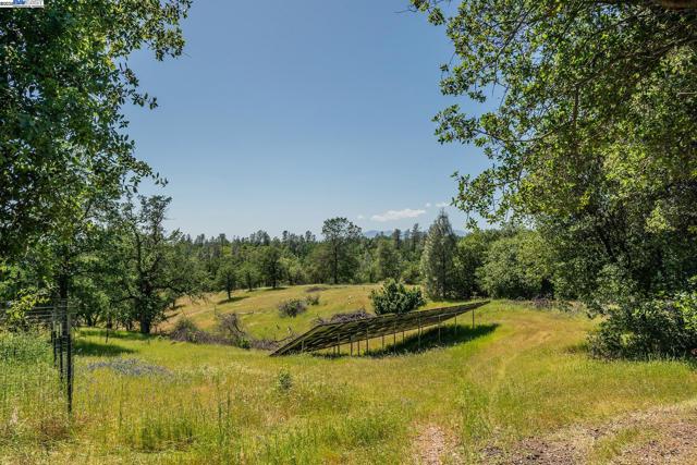 21679 Squaw Grass Trail, Redding CA: https://media.crmls.org/mediaz/5cbfd62b-a8ba-4003-9634-05b96501605d.jpg